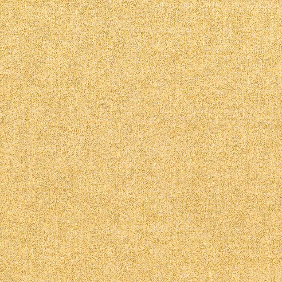 Maui 23055-005