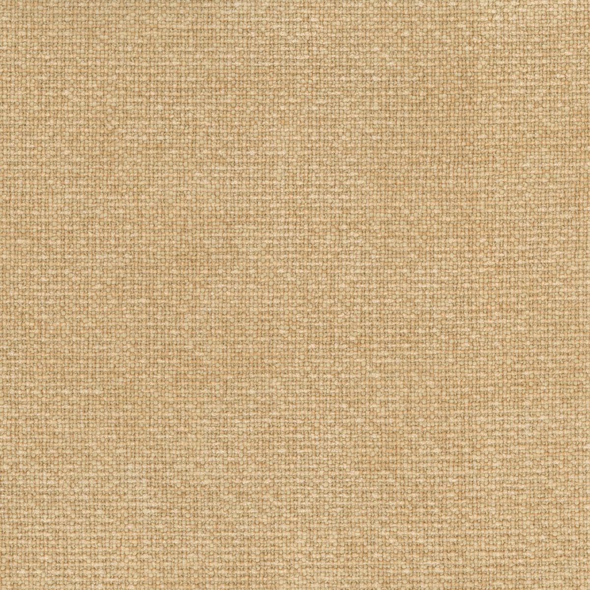 Moss 30679-004