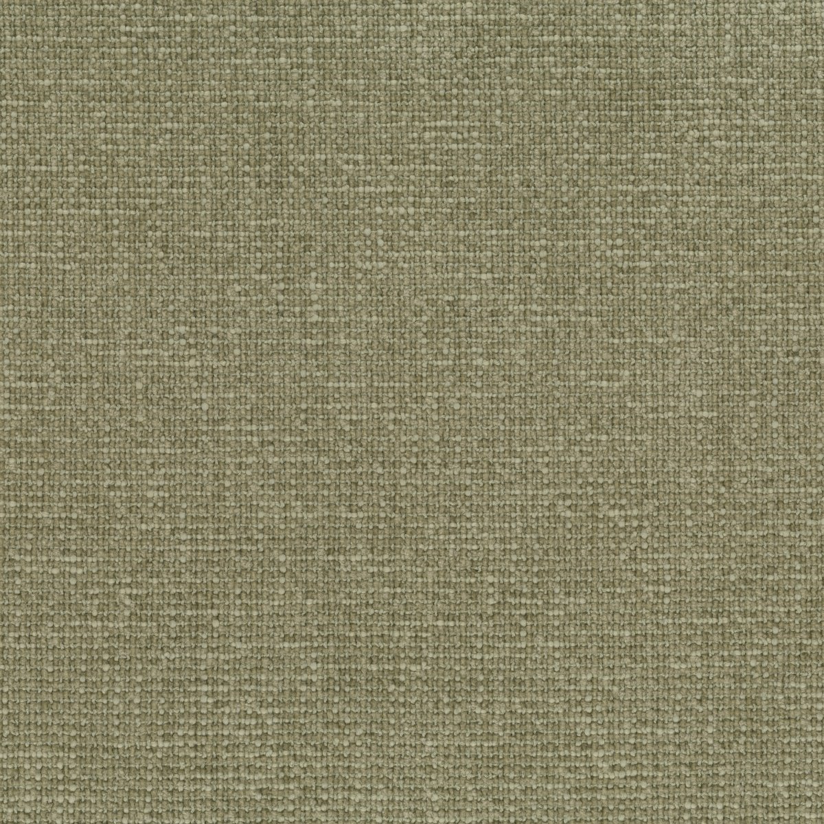 Moss 30679-005