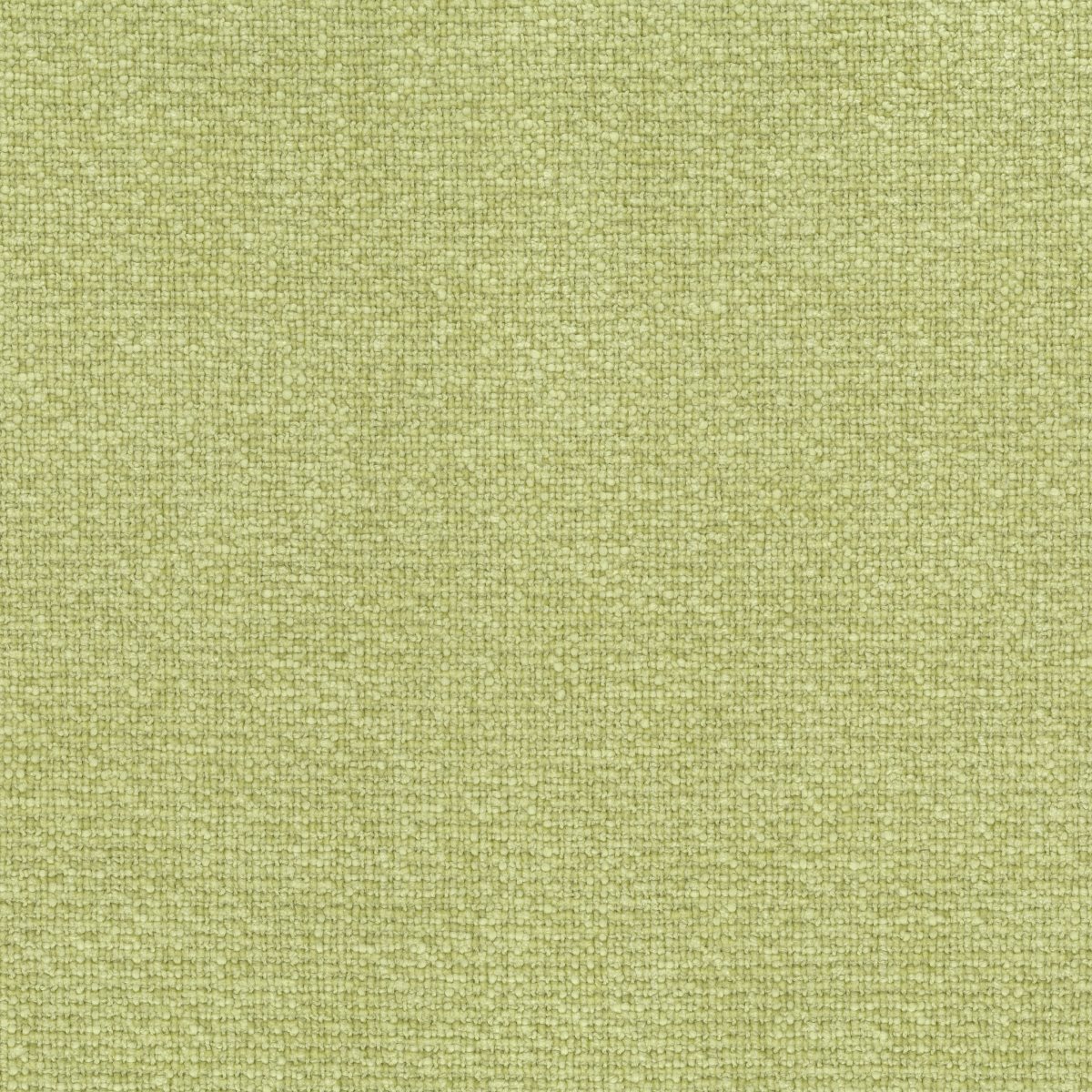 Moss 30679-006