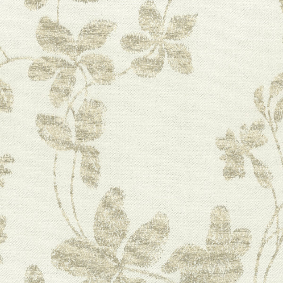 Ramage 30666-002