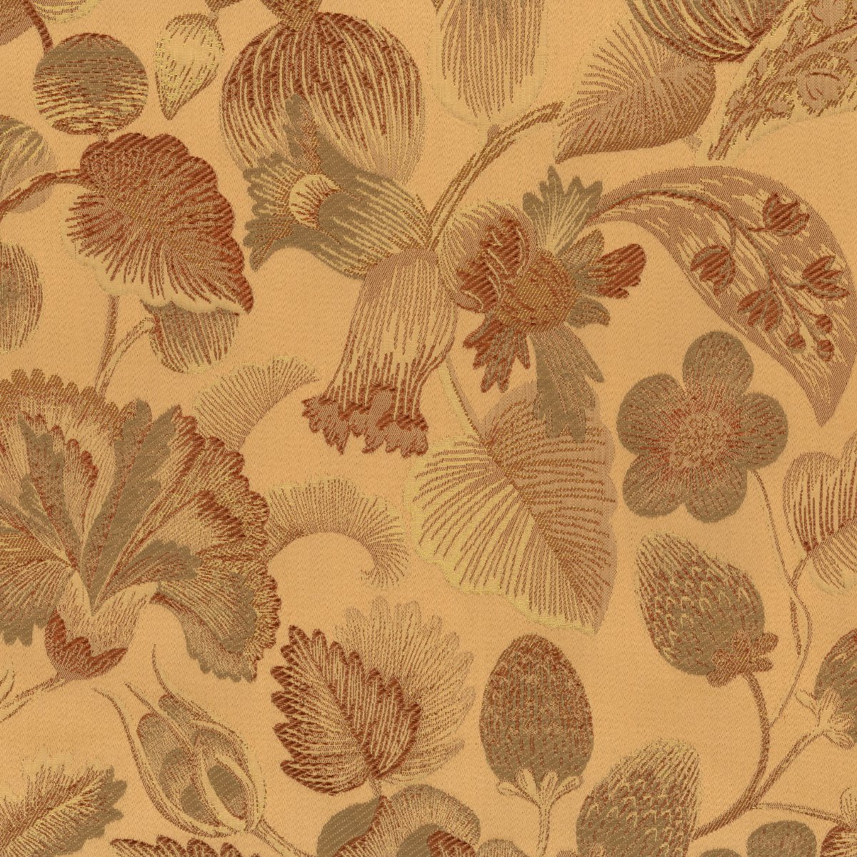 Royal botanica 30665-007