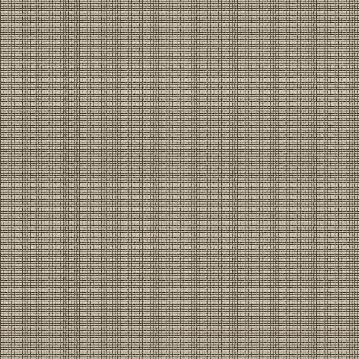 Cannele 30550-005