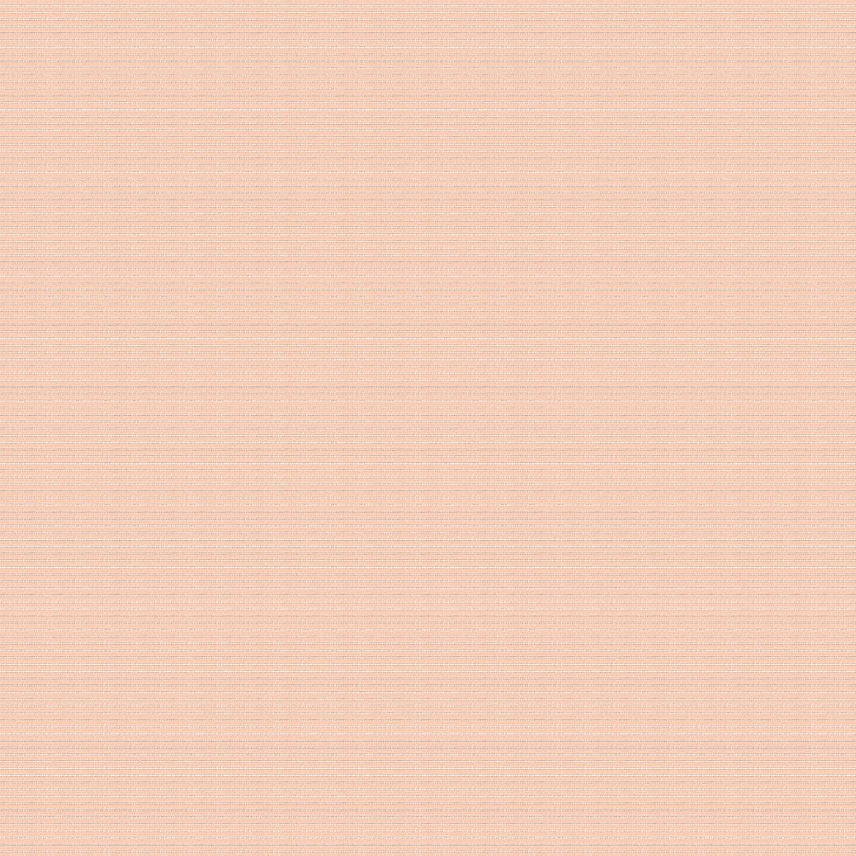 Cannele 30550-009