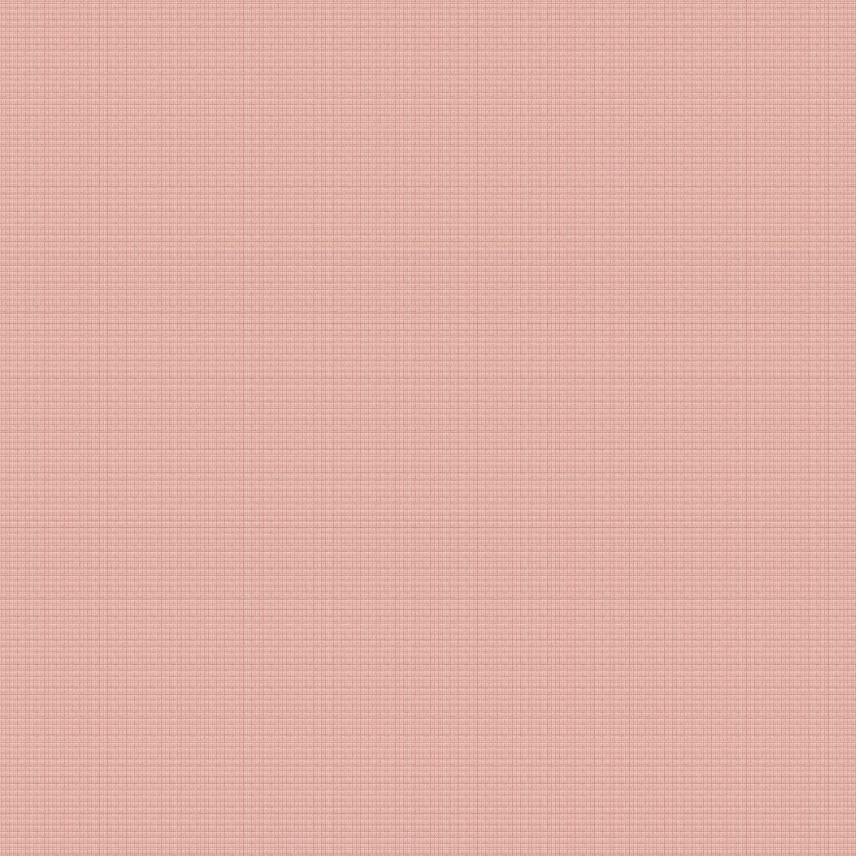 Cannele 30550-010