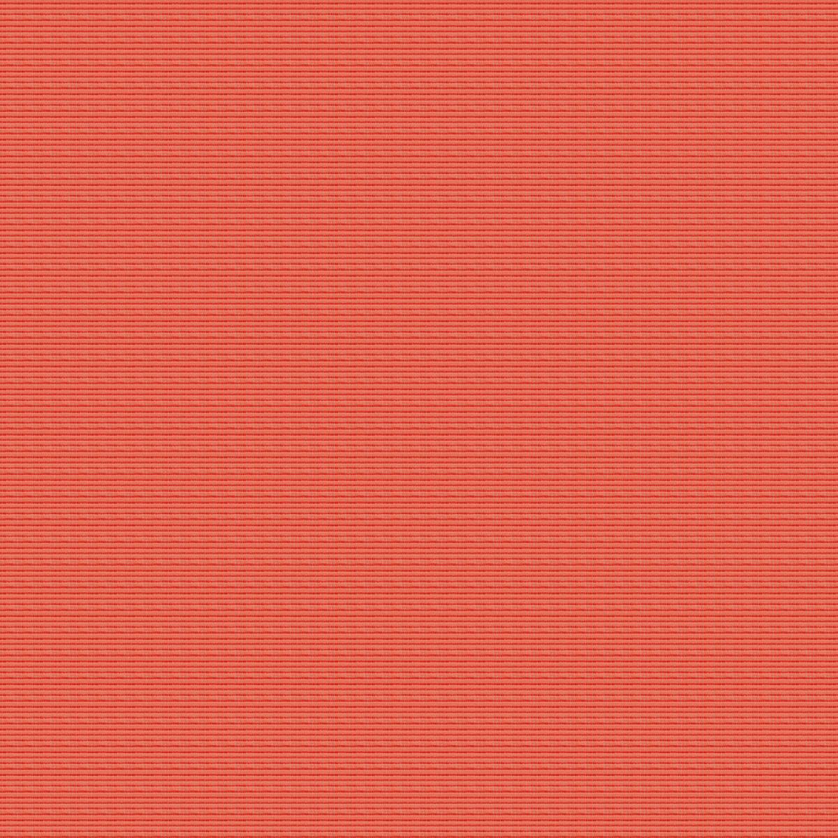 Cannele 30550-018