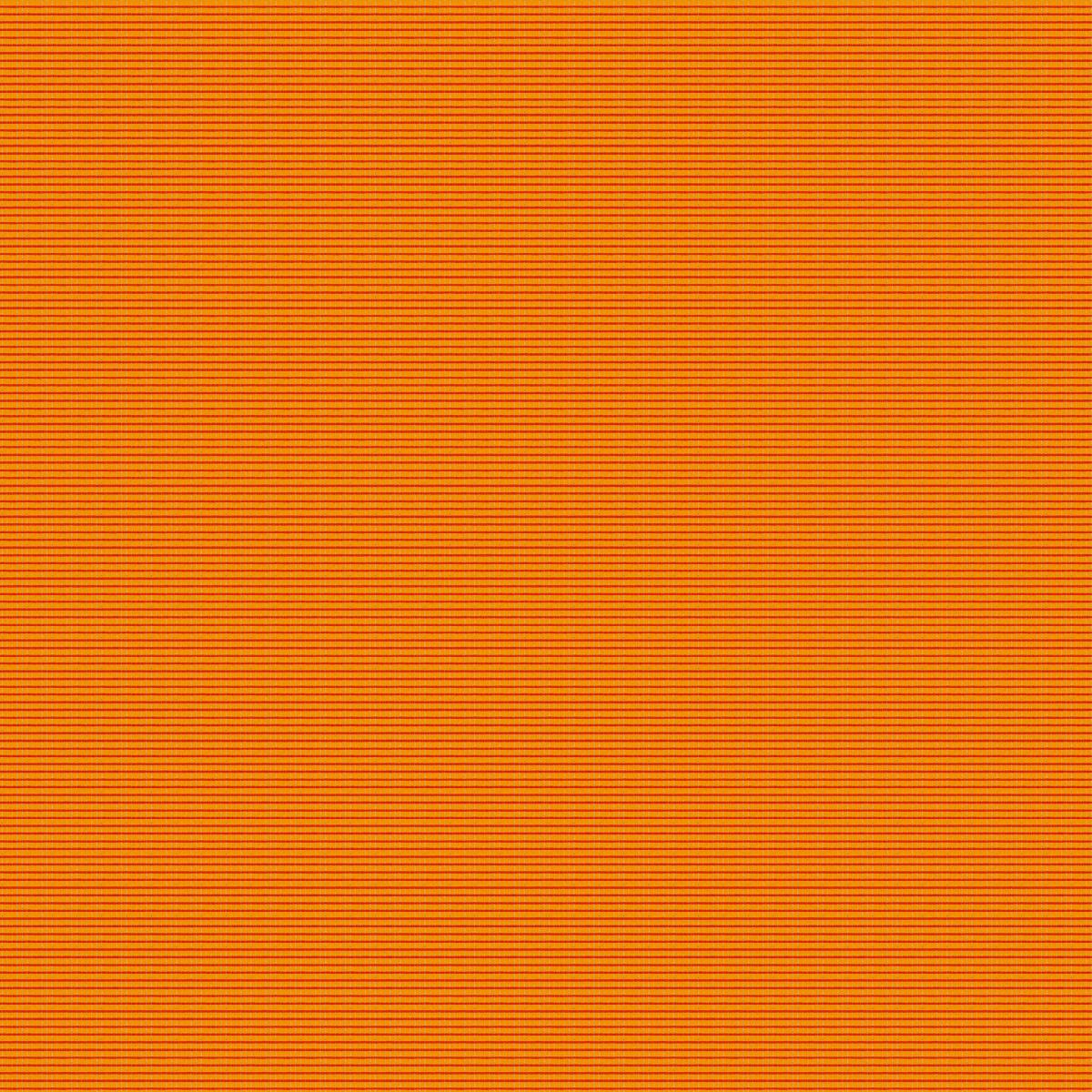 Cannele 30550-019