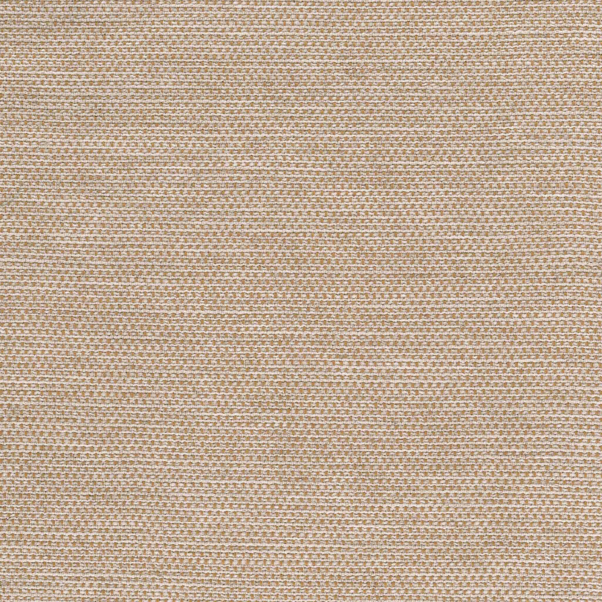 Incipit 30463-004