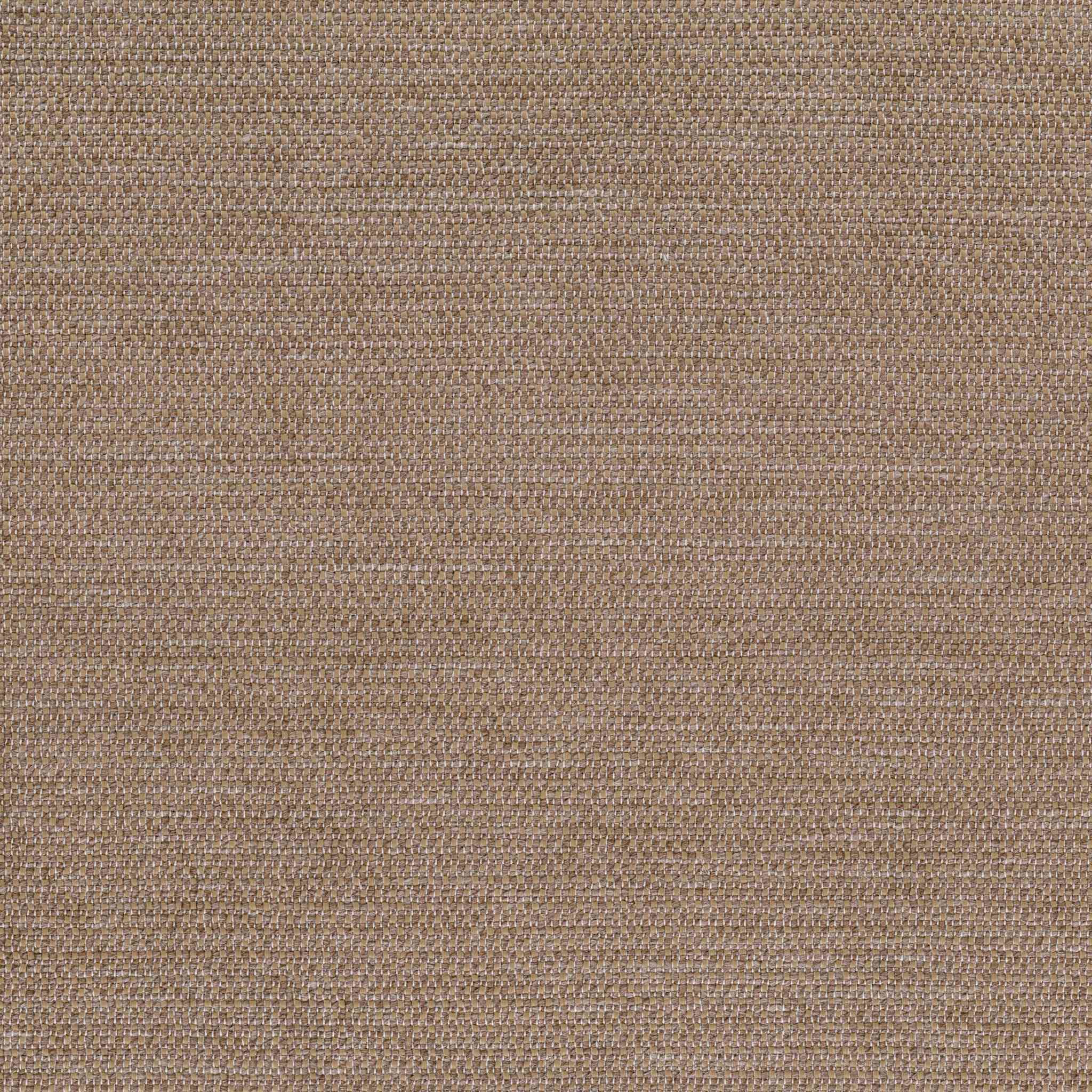 Incipit 30463-005