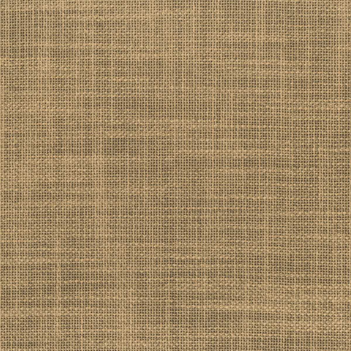 Tonga 23058-004