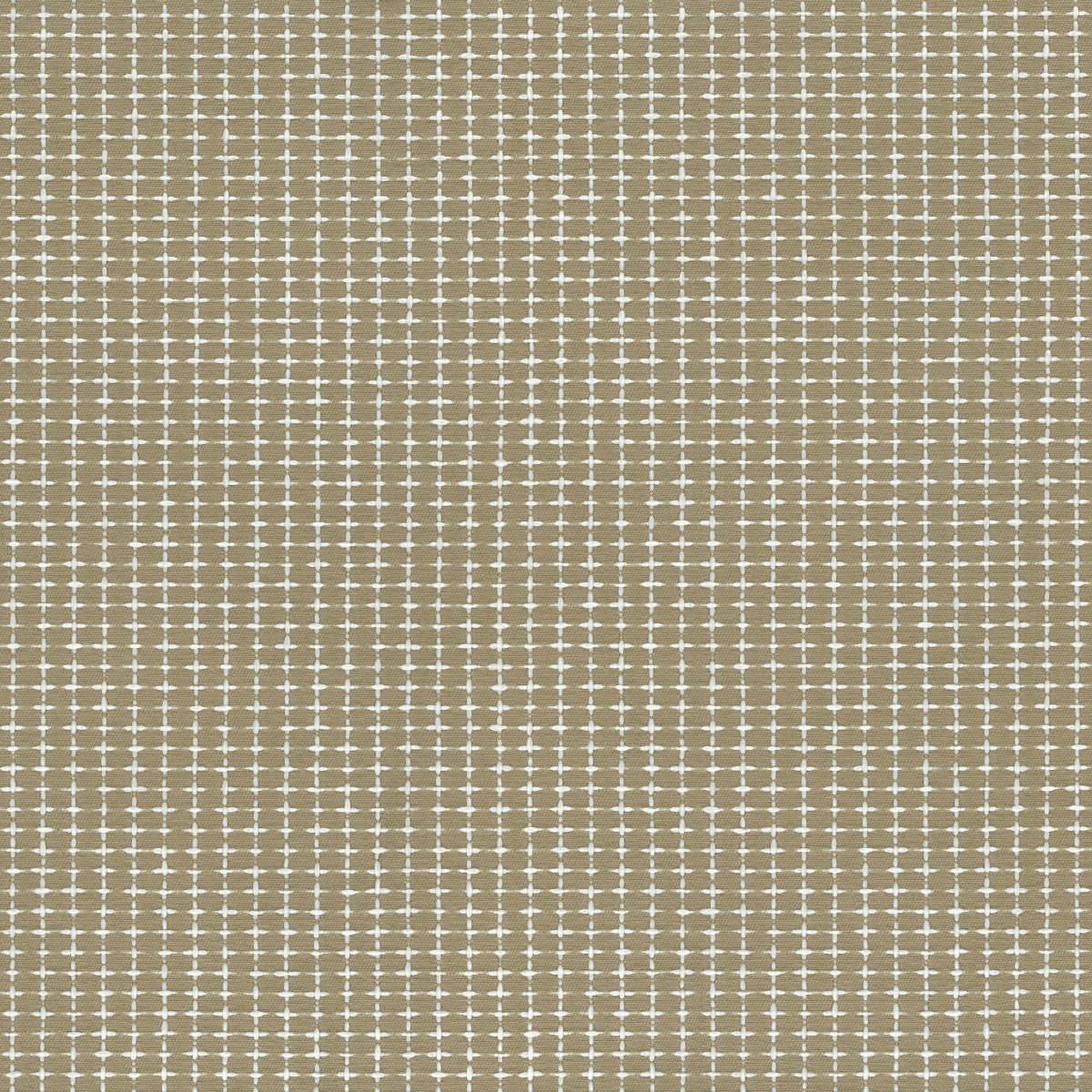 Vines 30687-004