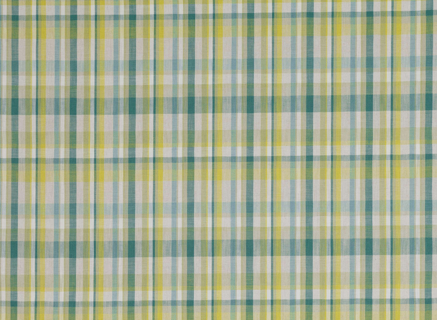 Rubra Check Eden V3391-01