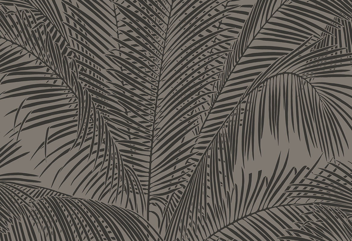 Sabal 17243
