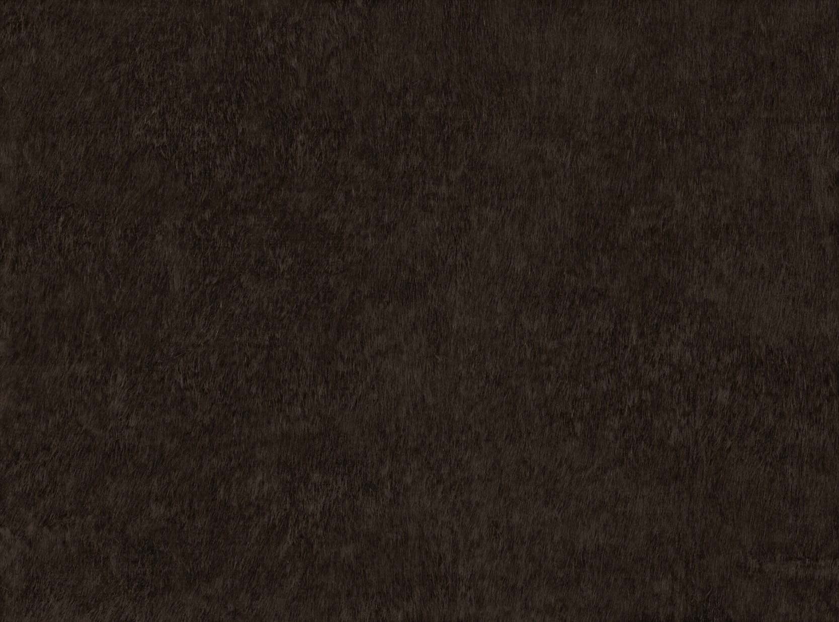 Sable Z508-01