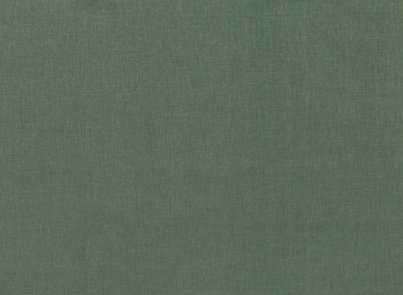 Sahara III Khaki FR KB5044-154