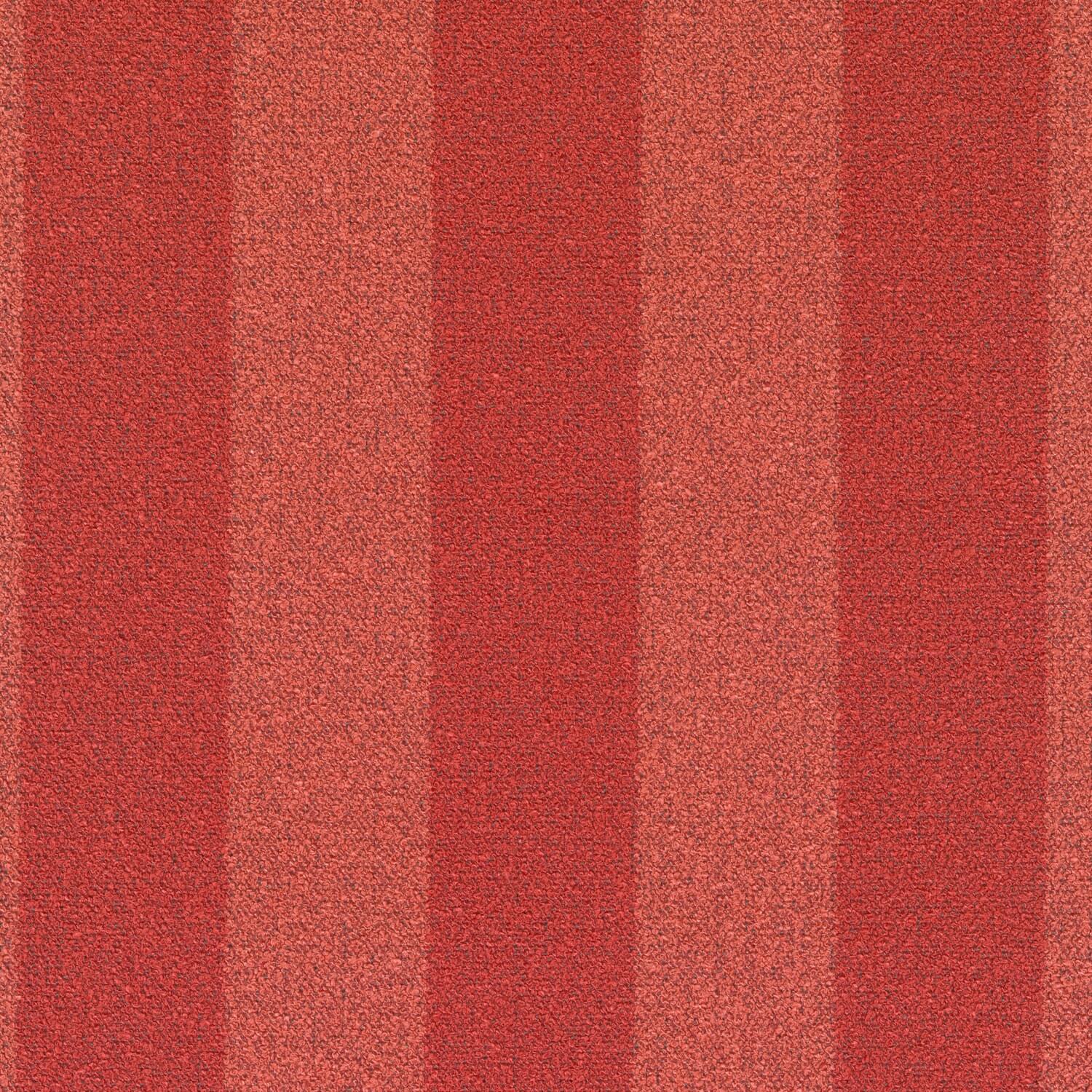 Acca Stripe 600766-0551