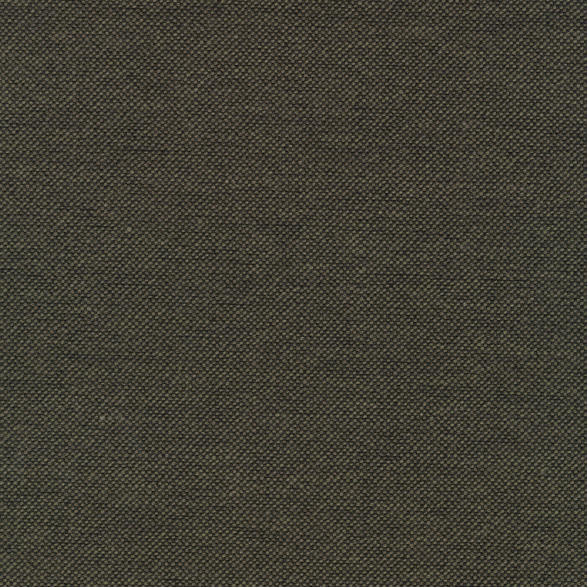 Clay 600662-0014