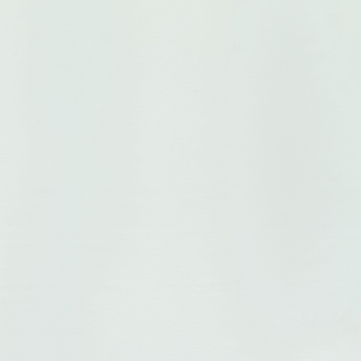 Powder 600693-0001