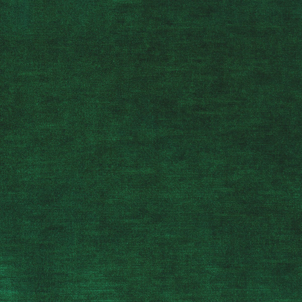 Salsa F6781-09