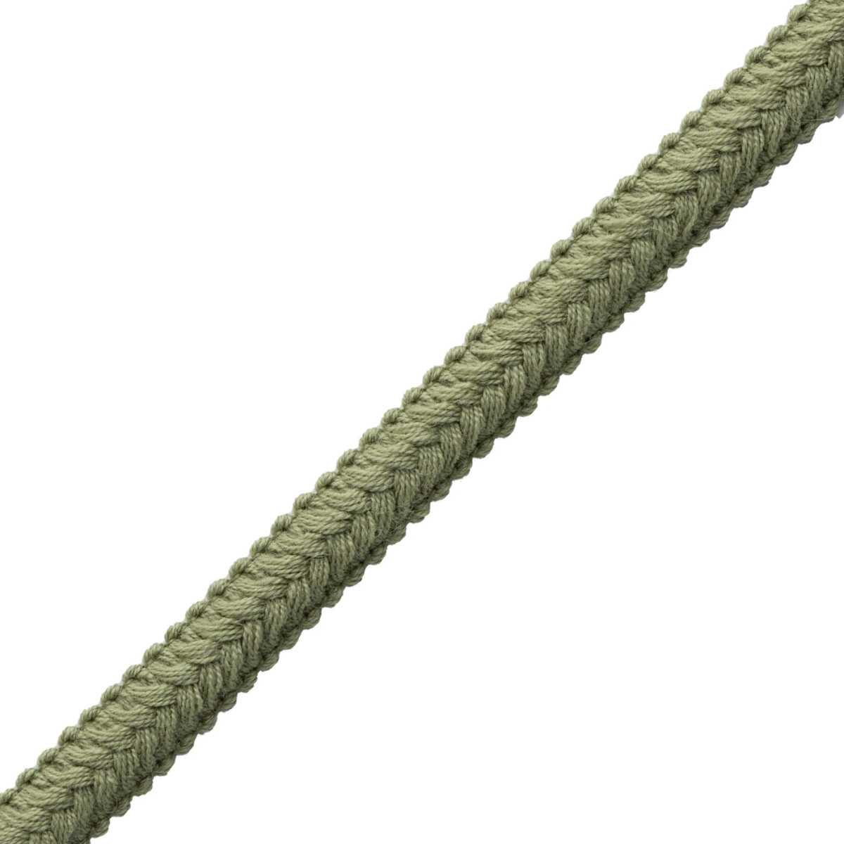 Ashton Gimp GB-61824-08