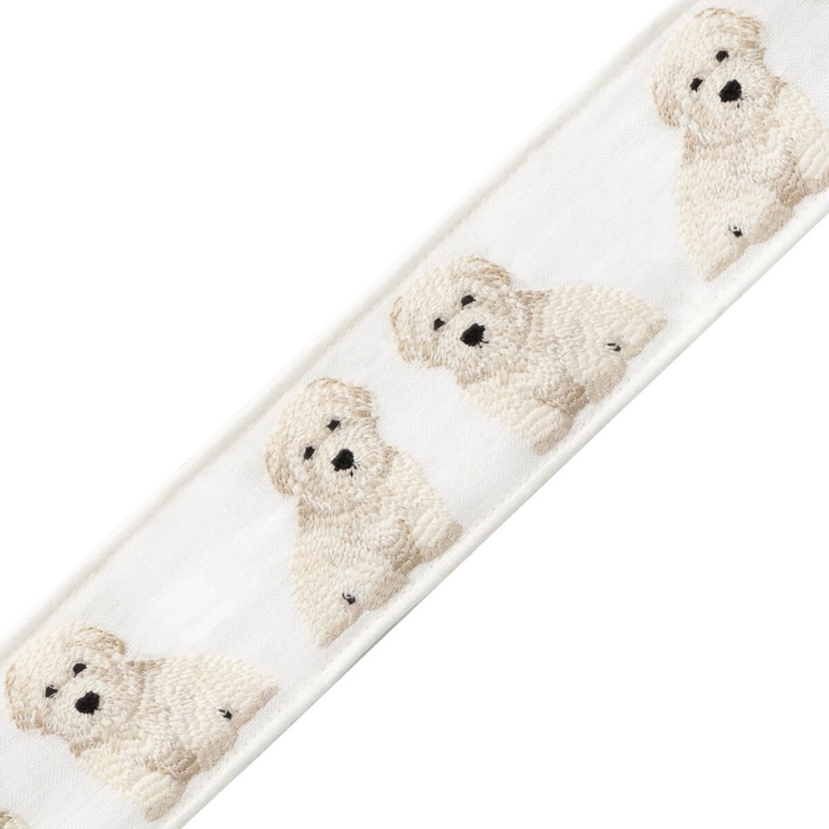 Coton De Tulear Border BT-61041-01