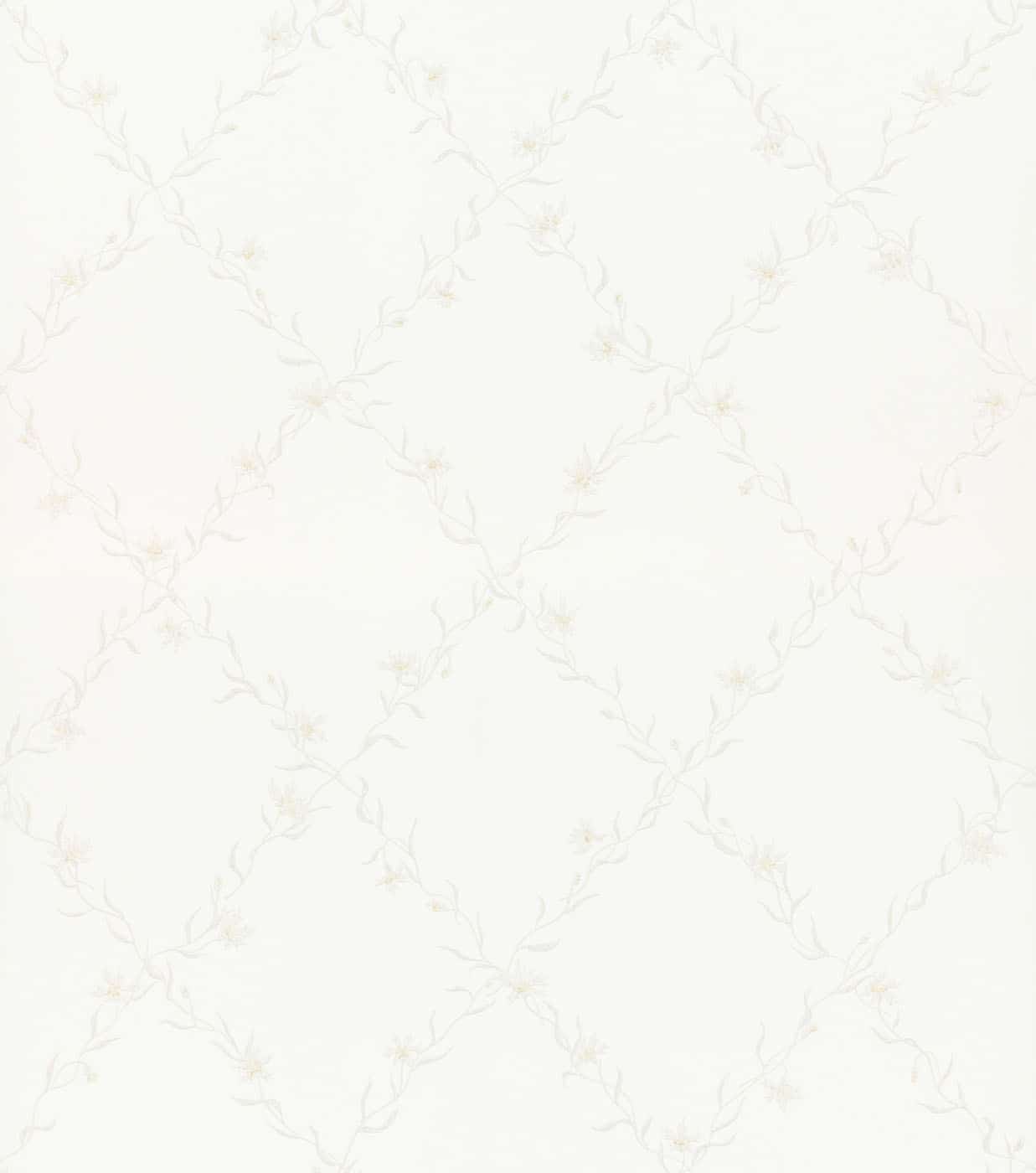 Ewa White 806-11