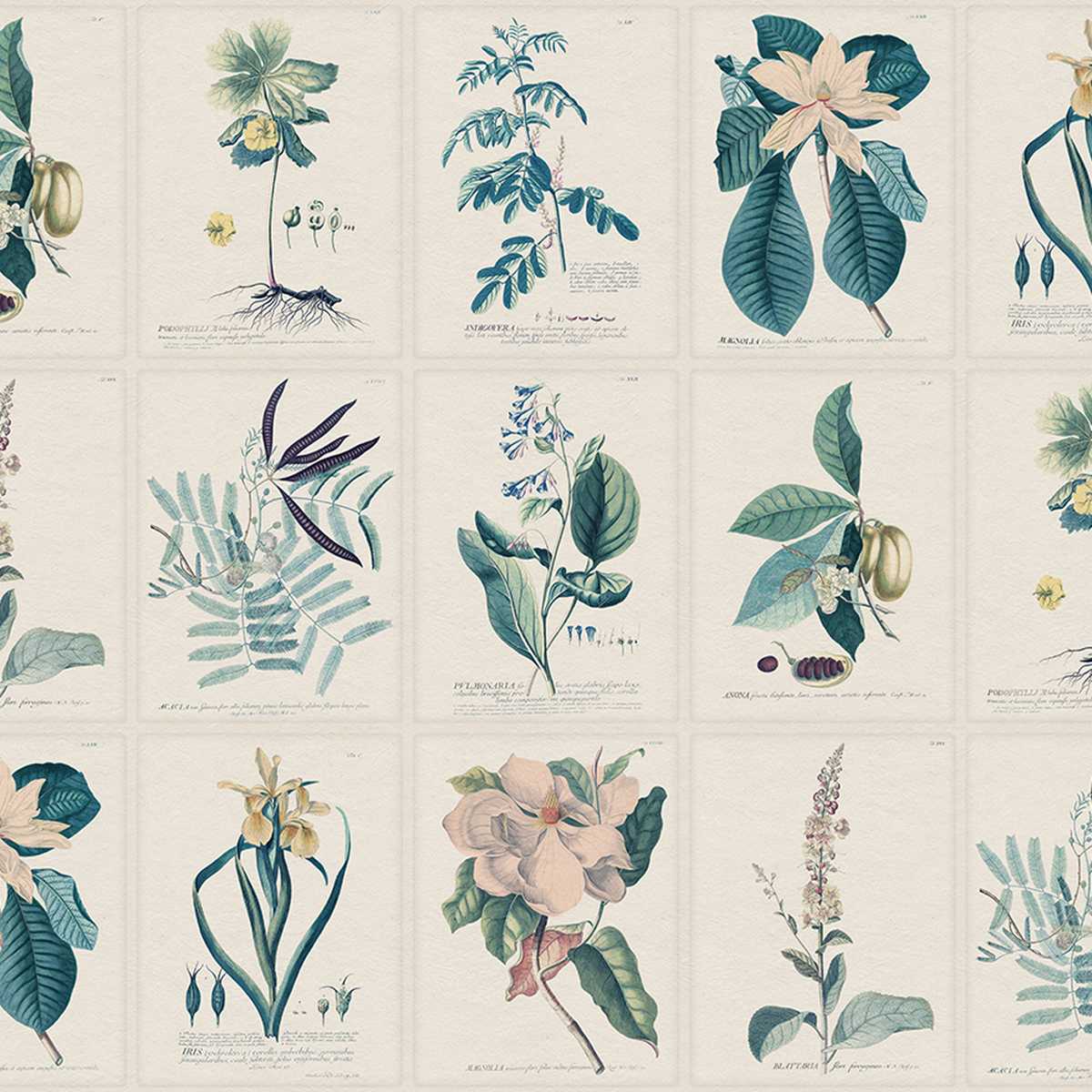 Flora S10589
