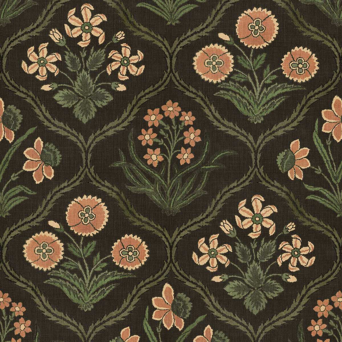 Rosa S10826