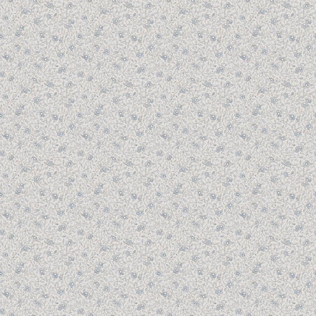Stella S10120