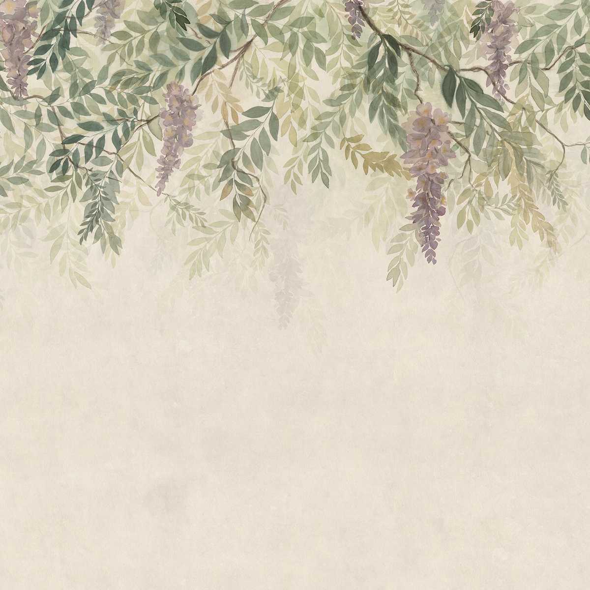 Wisteria S10657