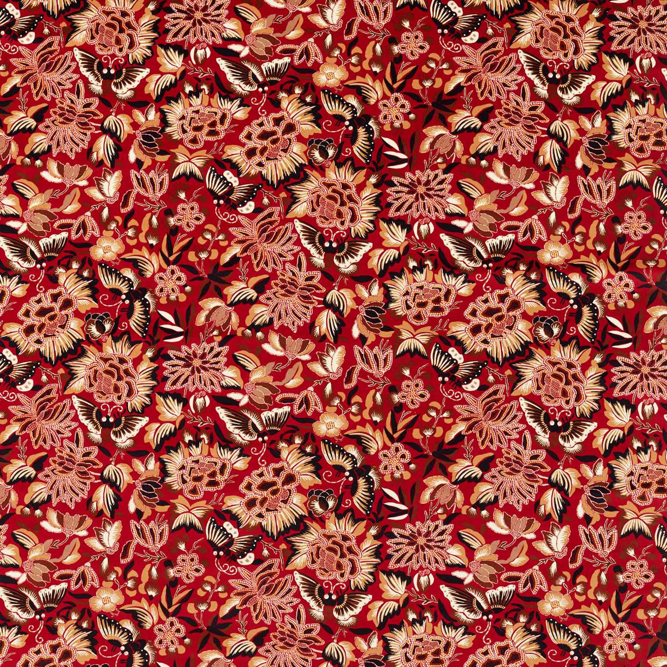Amara Butterfly 226974
