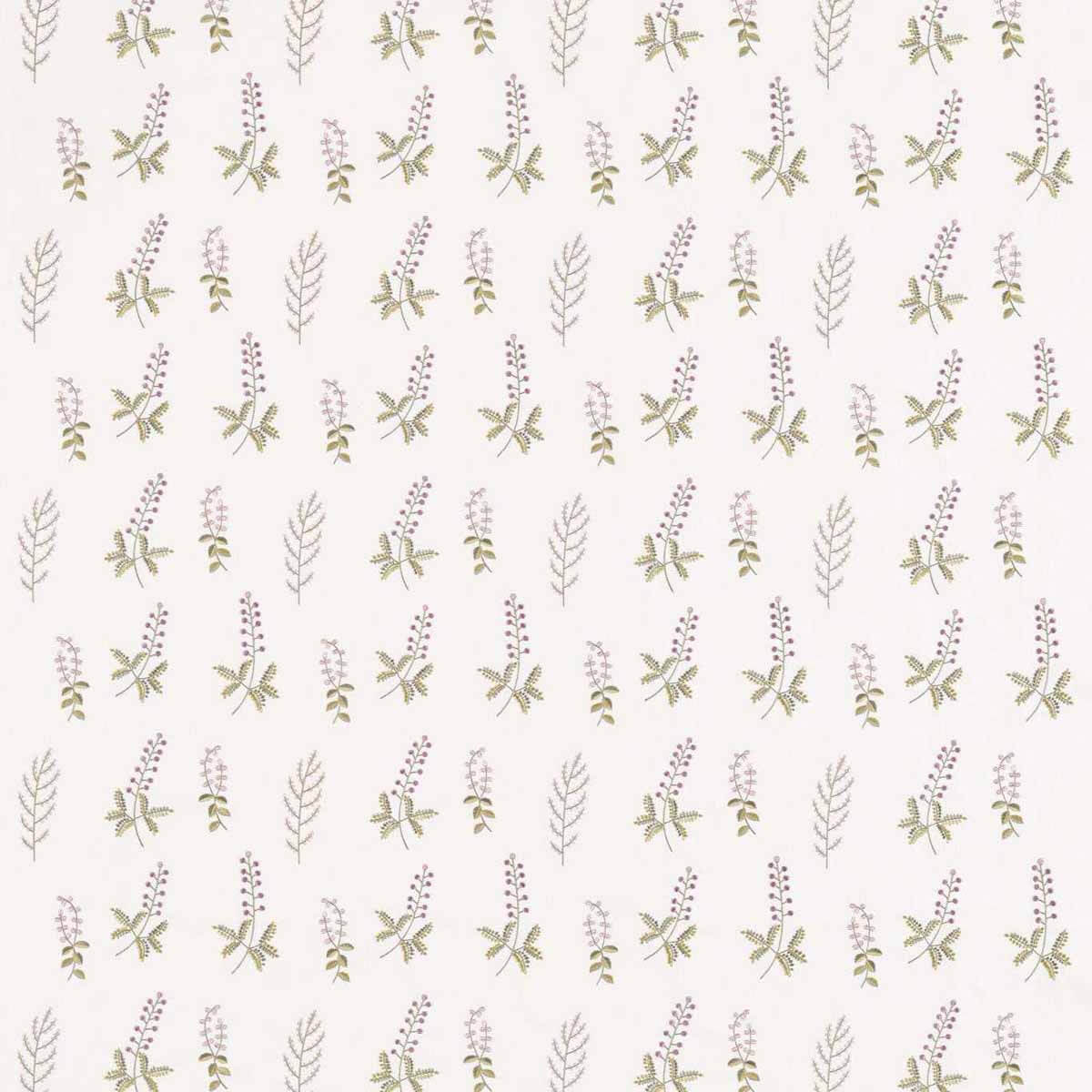 Bilberry 236425