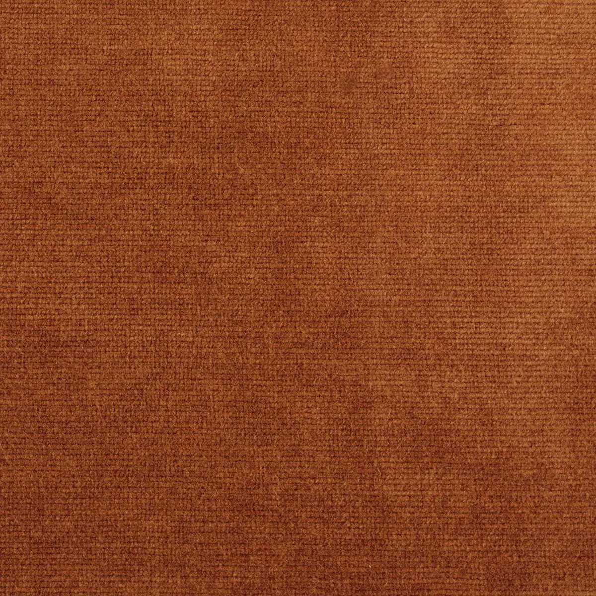 Boho Velvets 237446