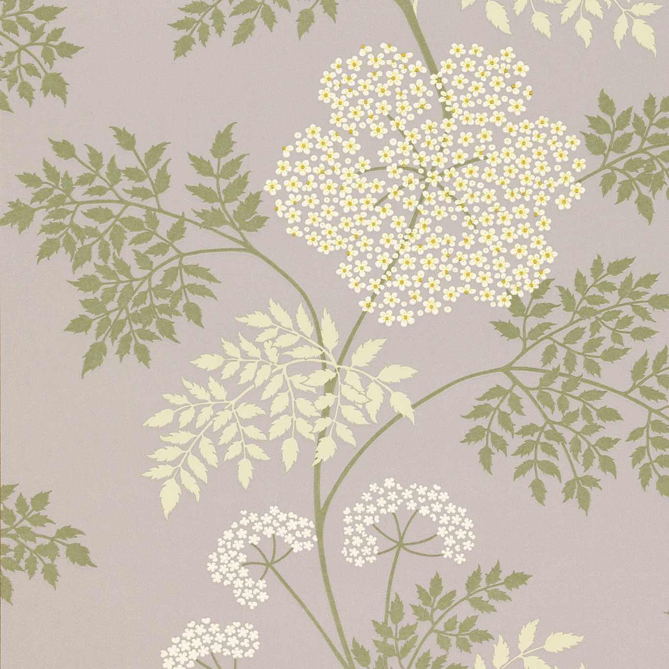 Cowparsley DOPWCO103
