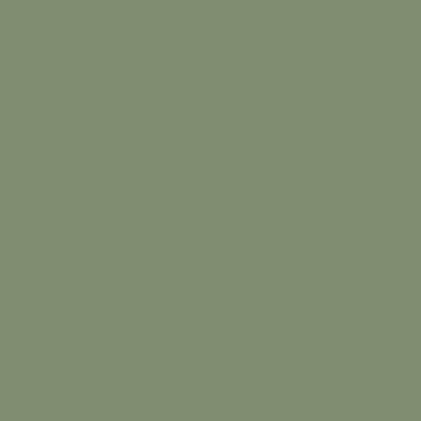 Devon Green Paint
