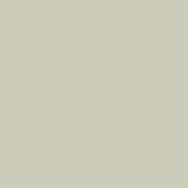 Driftwood Grey Light 57 Paint