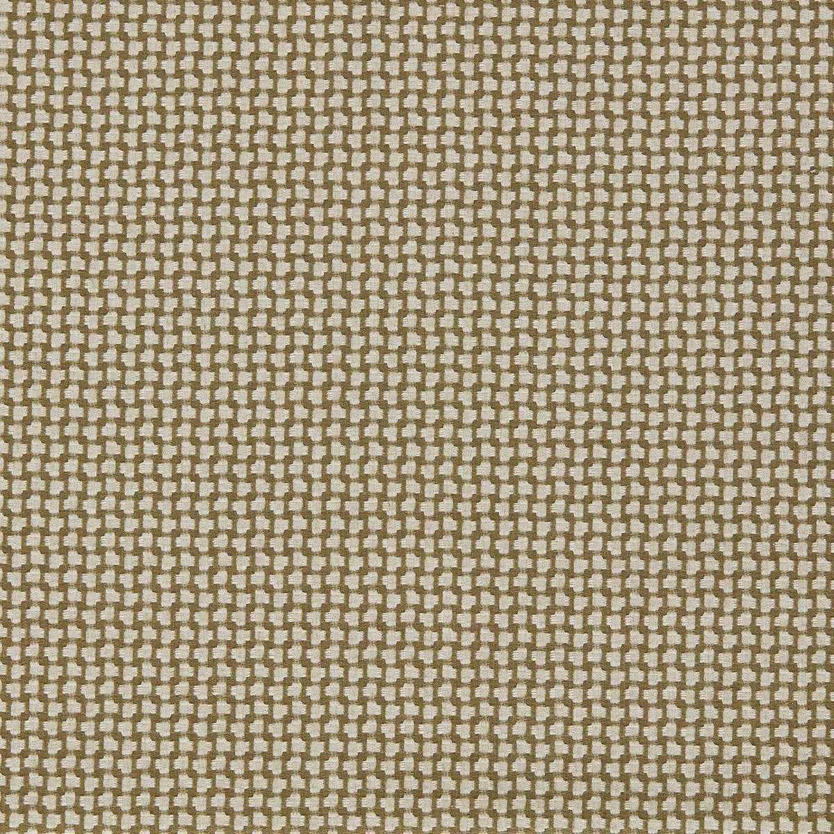 Fen 237488