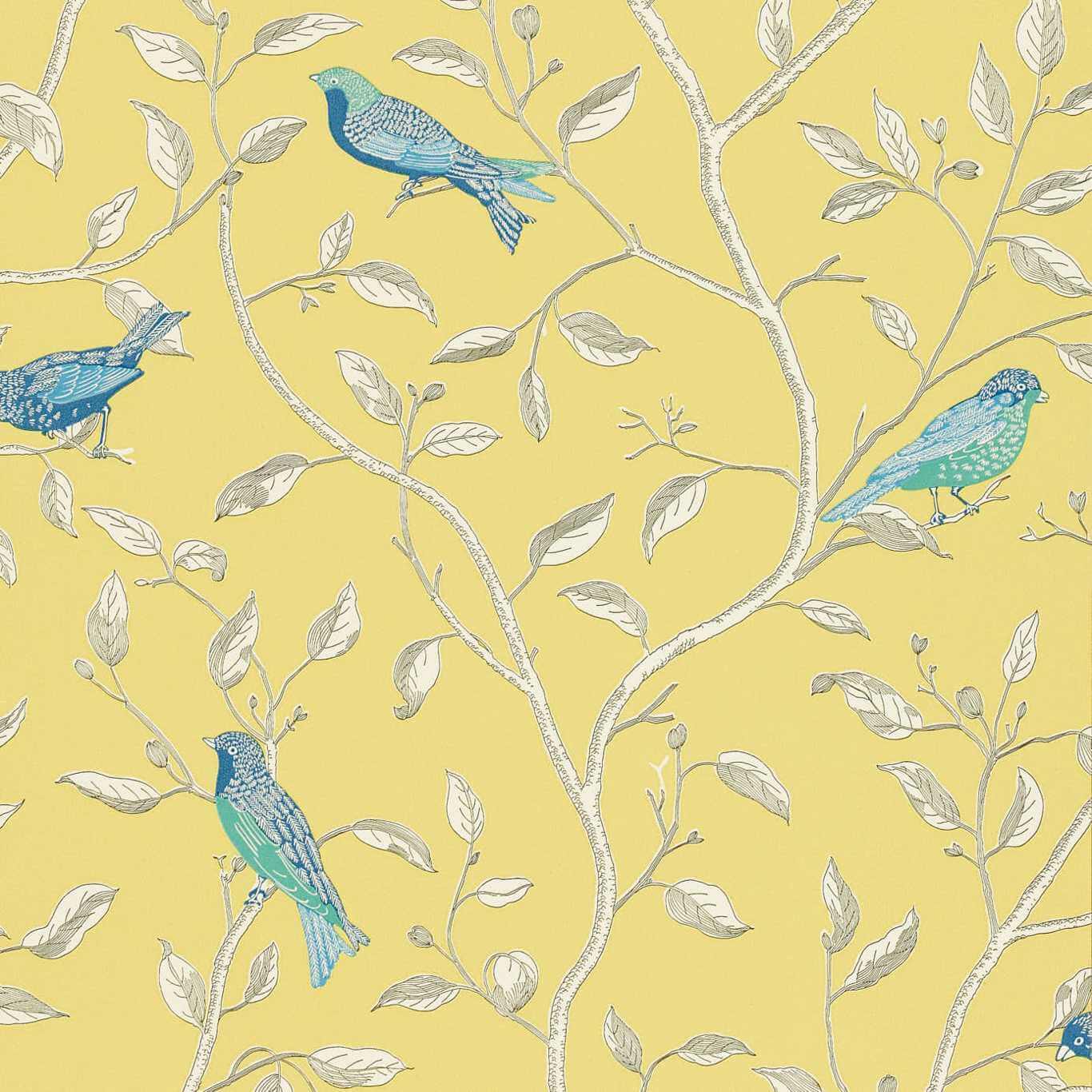 Finches DOPWFI101