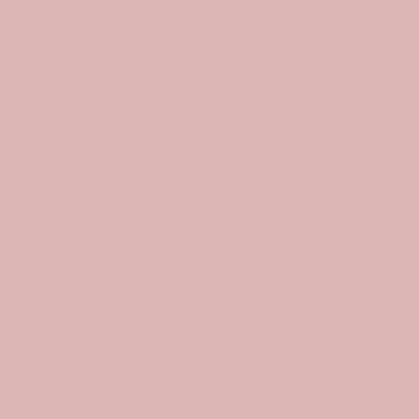 French Rose 93 Paint