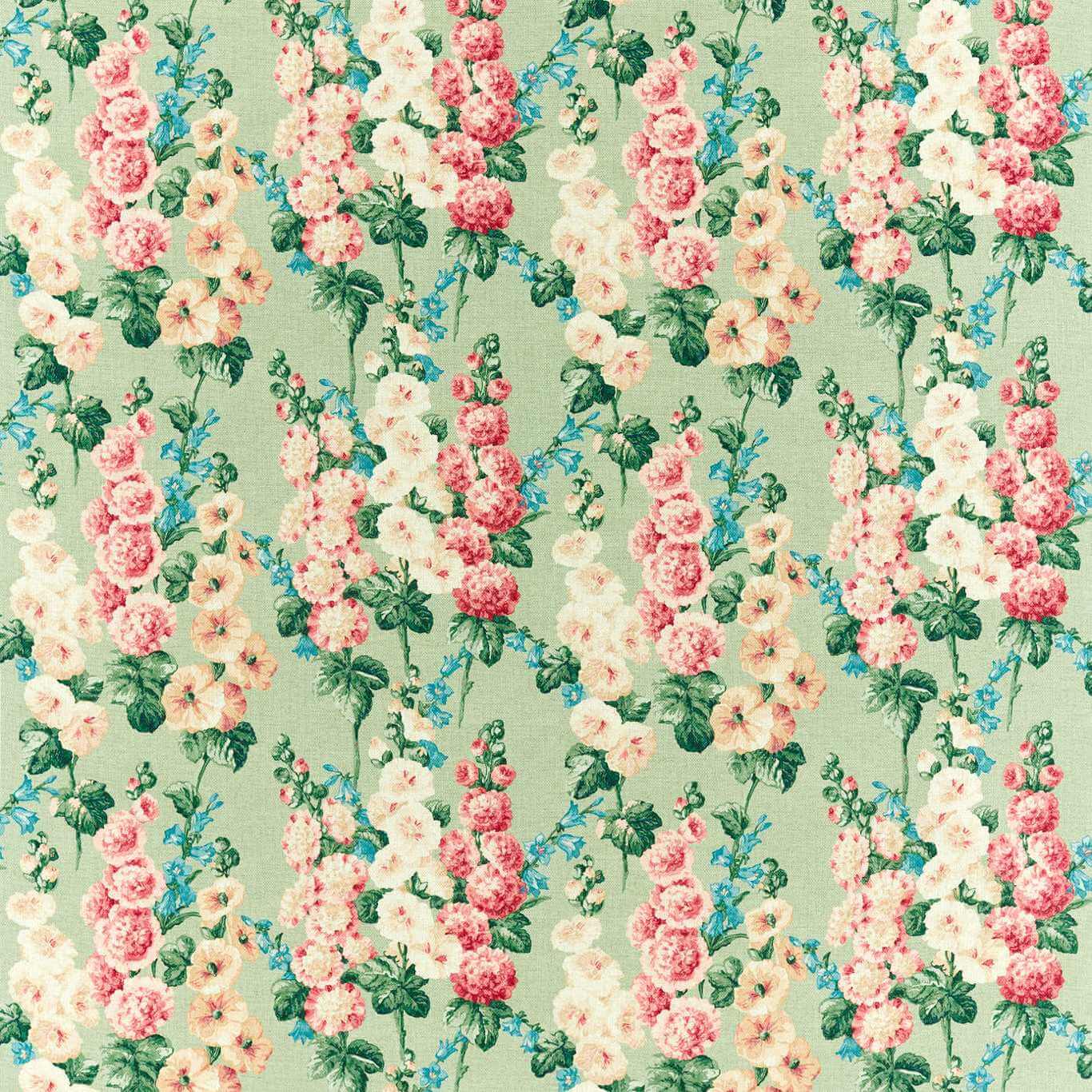 Hollyhocks 226862