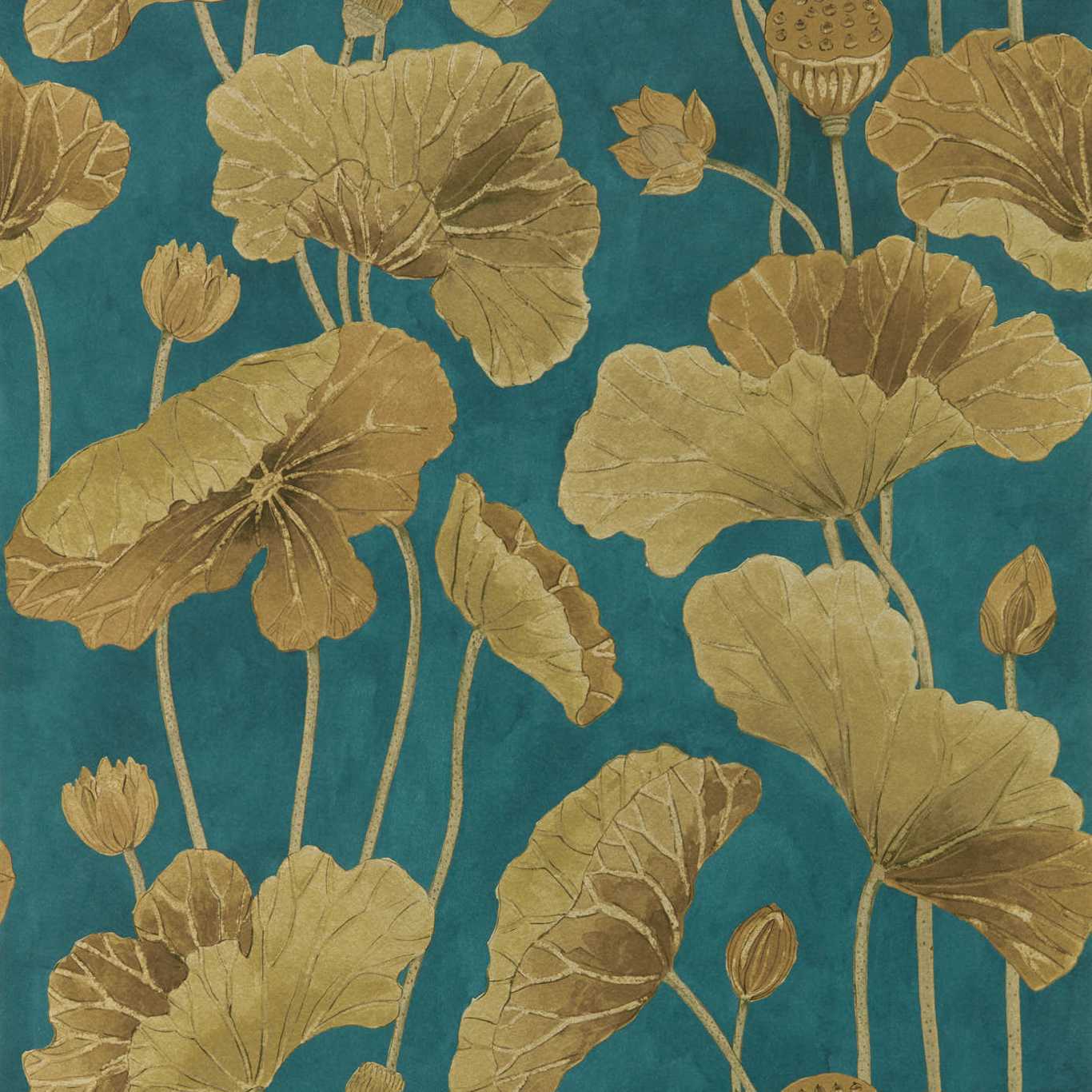 Lotus Leaf 217127