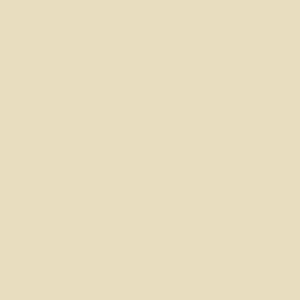 Pale Parchment 10 Paint