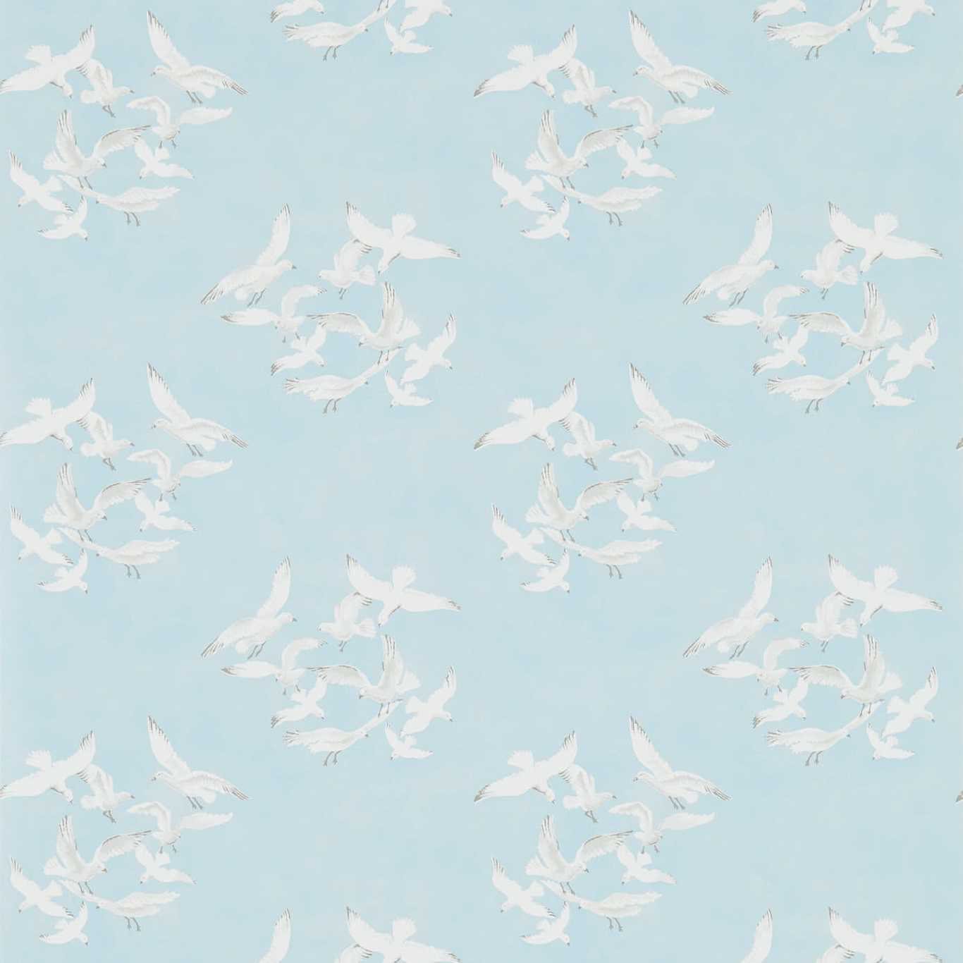 Seagulls 214585