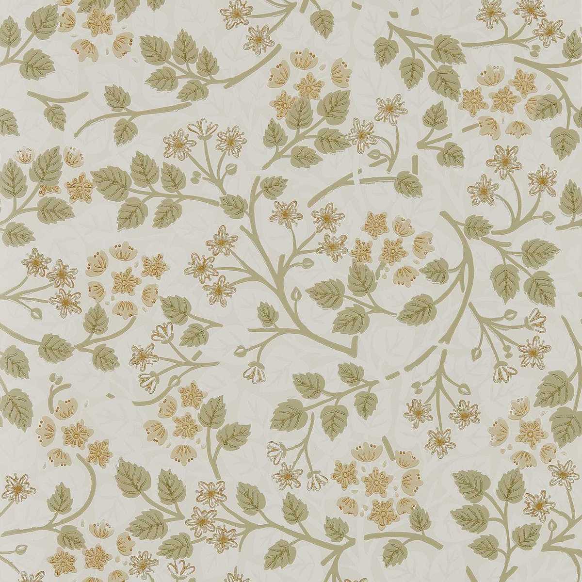 Silver Lime 217515