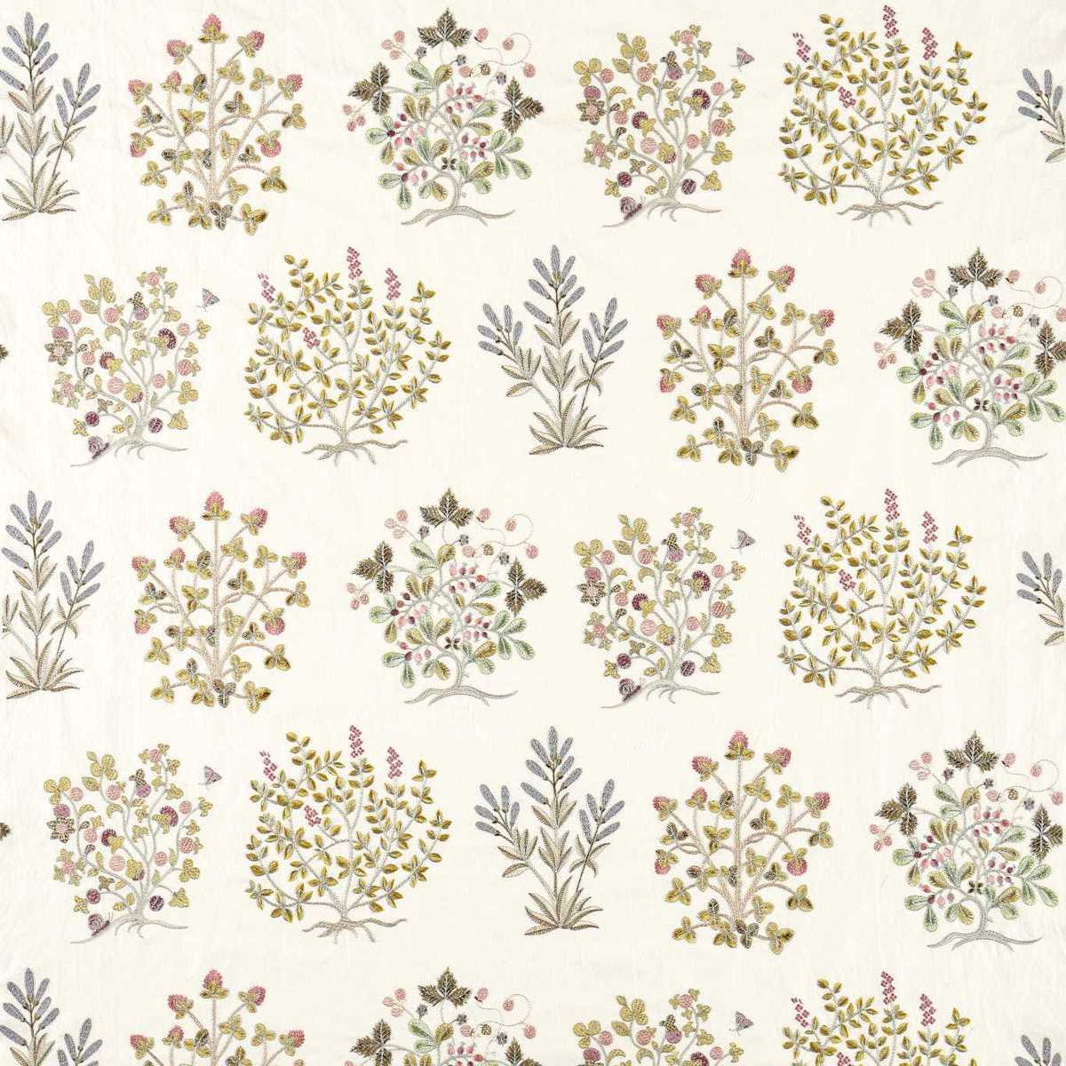 Thyme Walk 237617