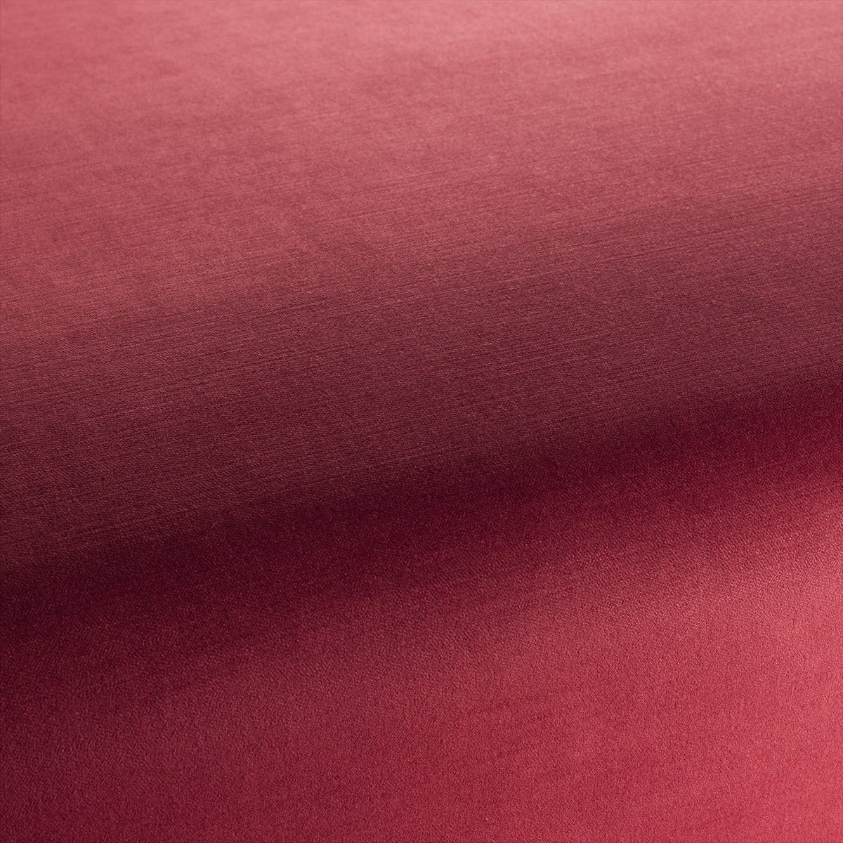 Satori CH2956-013
