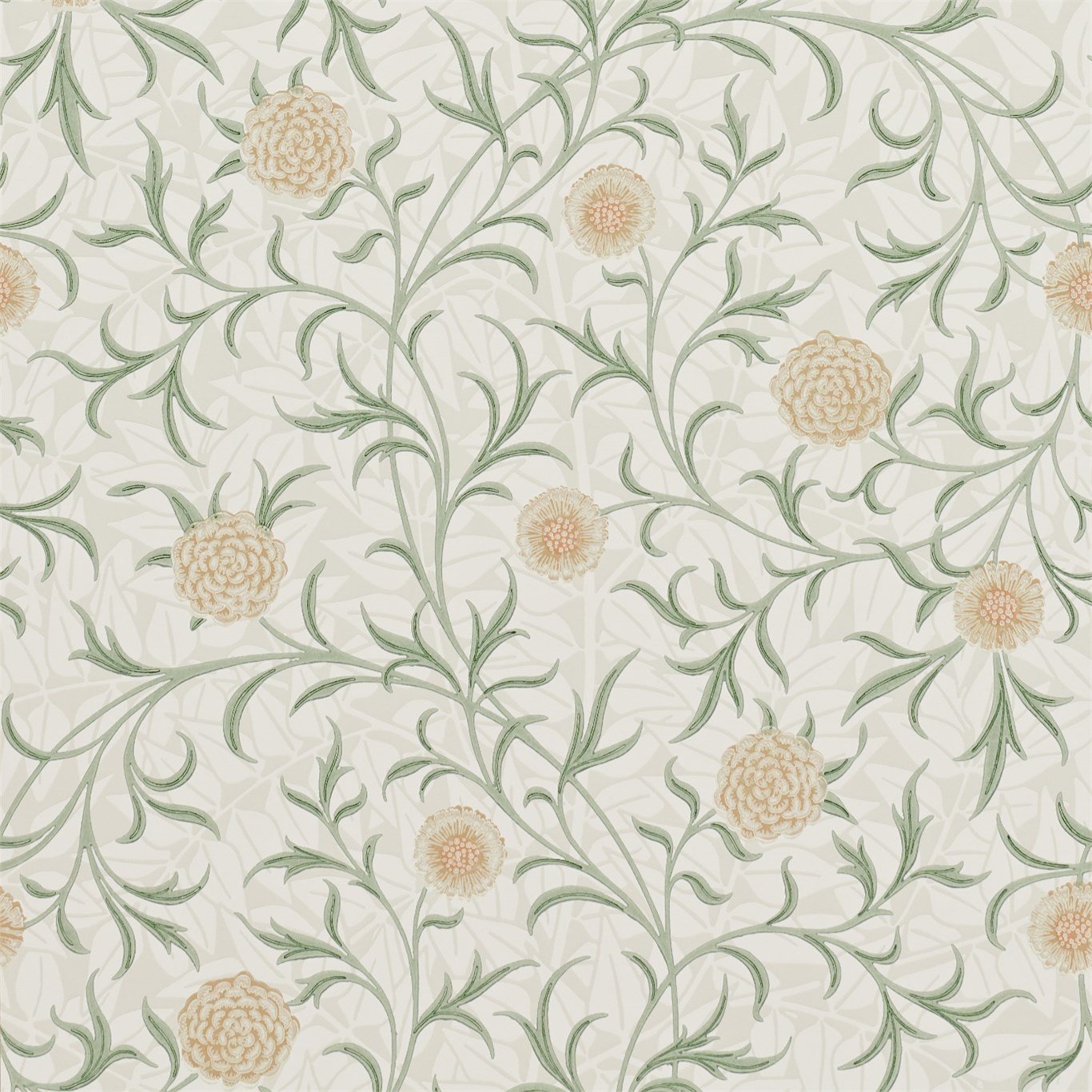 Scroll 210365