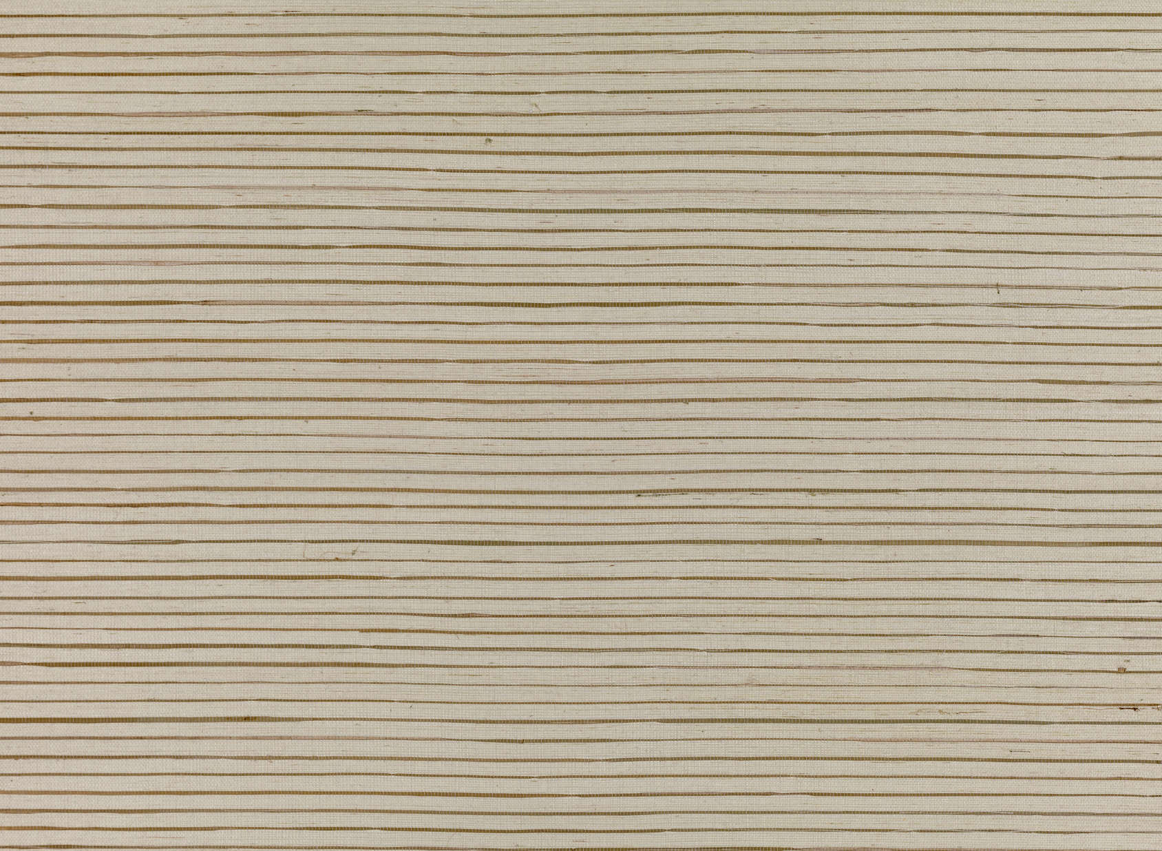 Seagrass Celery MW106-01