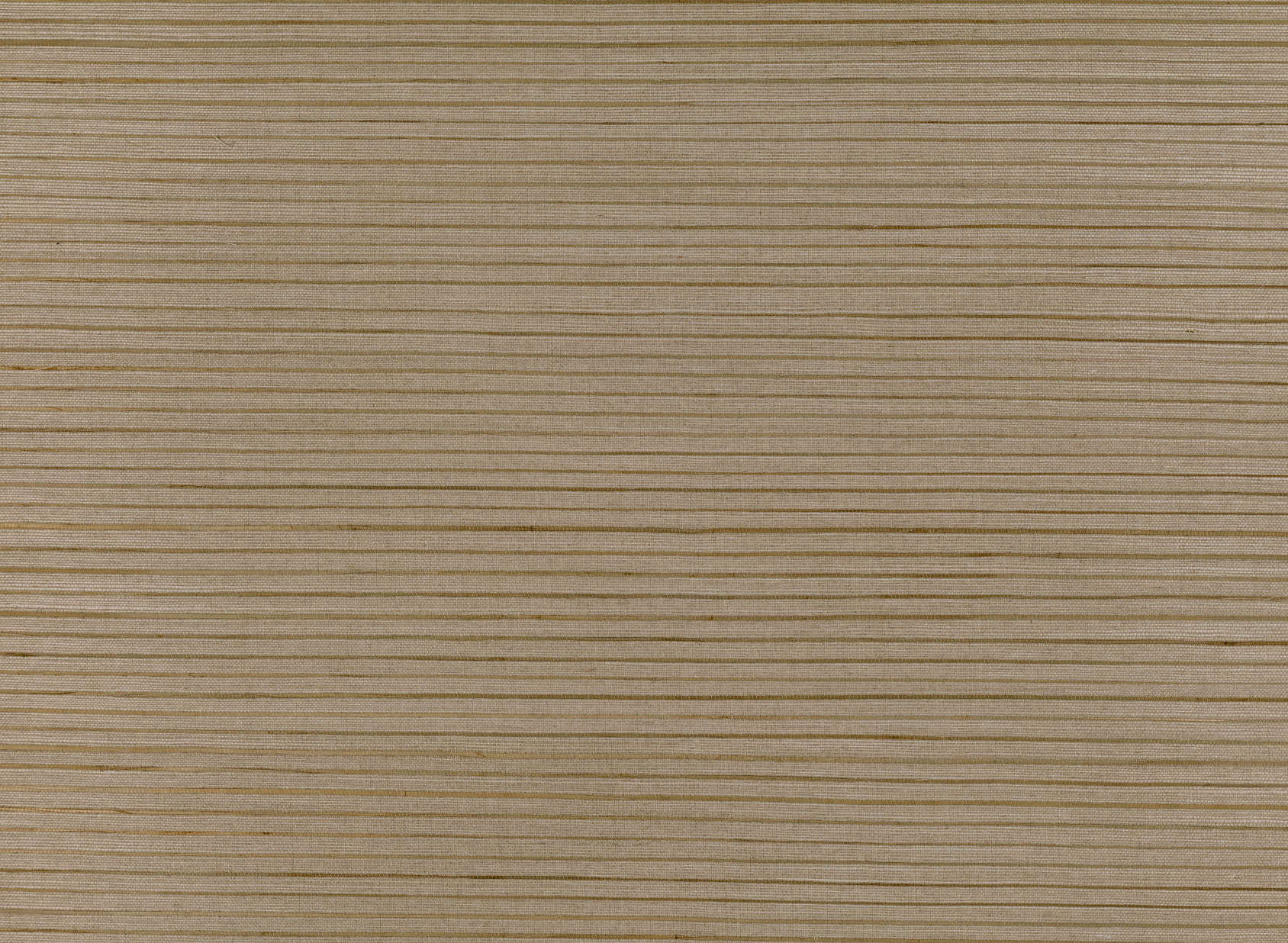 Seagrass Parchment MW106-04