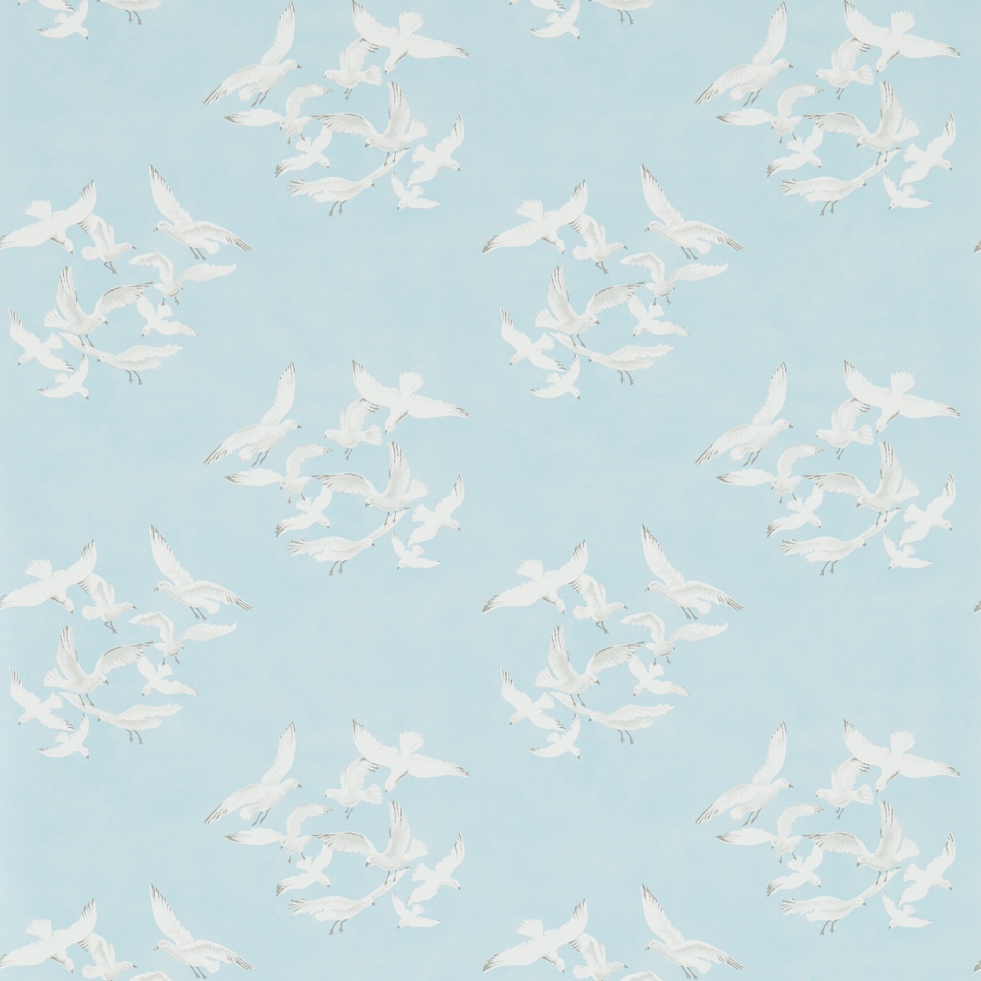 Seagulls 214585